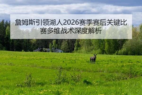 詹姆斯引领湖人2026赛季赛后关键比赛多维战术深度解析